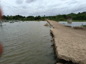 ರಾಯಚೂರು | ಕೃಷ್ಣಾ ನದಿಗೆ ಪ್ರವಾಹ: ಹೊಲಗಳಿಗೆ ನುಗ್ಗಿದ ನೀರು